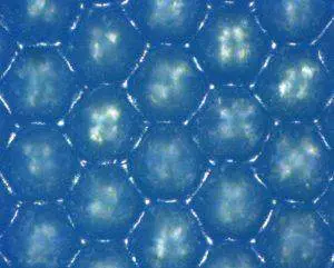 Anilox Thermaflo