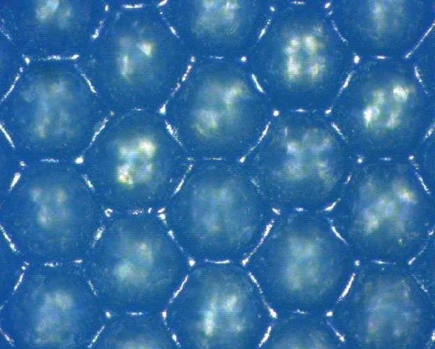 Anilox Thermaflo